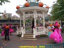 DSC05414.jpg