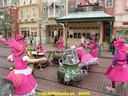 DSC05434.jpg