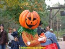 DSC05531.jpg