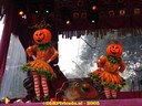 DSC05533.jpg