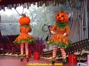 DSC05535.jpg