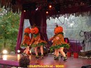 DSC05537.jpg