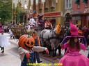 DSC09226.jpg