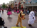 DSC09231.jpg