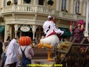 DSC09234.jpg