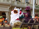DSC09235.jpg