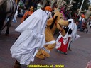 DSC09237.jpg