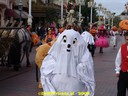 DSC09243.jpg