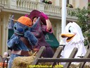 DSC09249.jpg