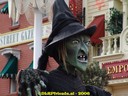 DSC09251.jpg