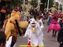 DSC09259.jpg