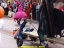 DSC09261.jpg