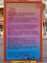 DSC09264.jpg