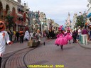 DSC09265.jpg