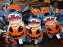 DSC09195.JPG