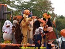 dsc09330.jpg