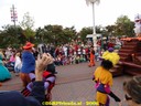 dsc09340.jpg