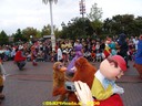 dsc09341.jpg