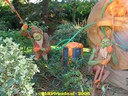 dsc09106.jpg