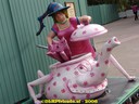 dsc09286.jpg