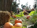 dsc09301.jpg