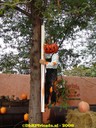 dsc09319.jpg