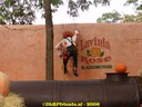 dsc09320.jpg