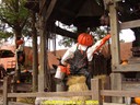 dsc09321.jpg