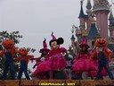 DSC02046.jpg