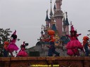 DSC02047.jpg