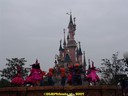 DSC02052.jpg