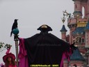 DSC02061.jpg