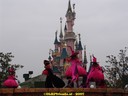 DSC02067.jpg