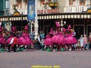 dsc02145.jpg