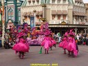 dsc02146.jpg