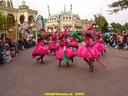 dsc02147.jpg