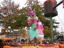 dsc02165.jpg