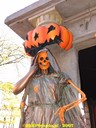 dsc01894.jpg