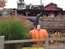 dsc02112.jpg