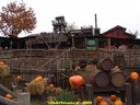 dsc02113.jpg