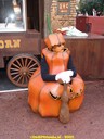 dsc02114.jpg