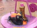 dsc02115.jpg