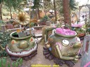 dsc02118.jpg