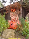 dsc02119.jpg