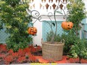 dsc02141.jpg