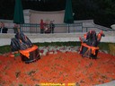 dsc02246.jpg