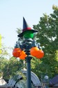 DSC01775.jpg