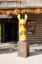 DSC02070.jpg