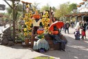 DSC02074.jpg