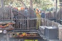 DSC02088.jpg